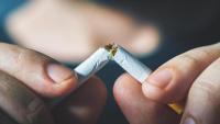 Fingers holding ends of a cigarette that is broken in half